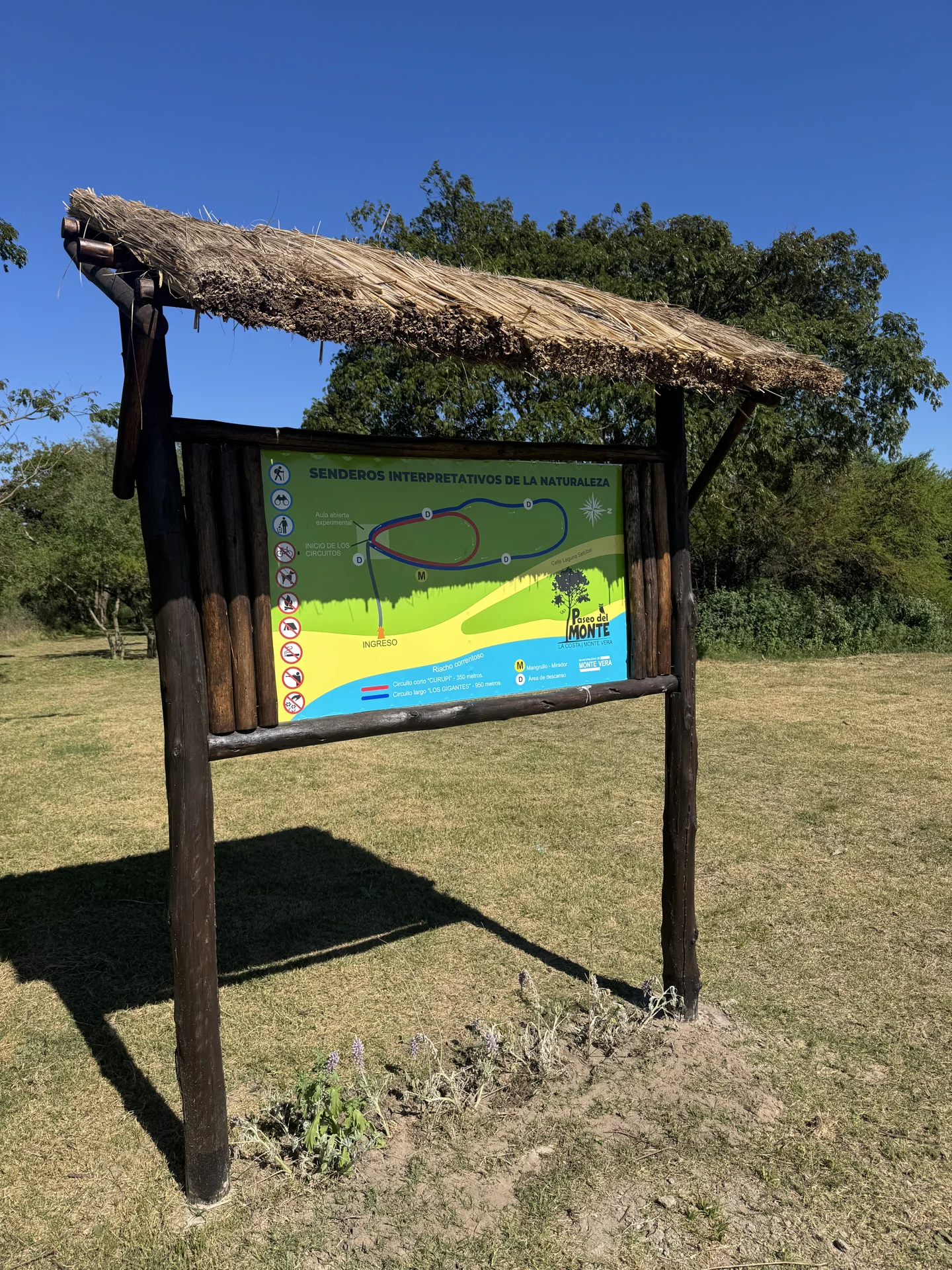 Circuito diurno